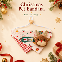 Bandana de Noël triangulaire pour animaux de compagnie avec décoration de personnage 3D