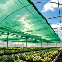 Groene rechthoekige HDPE warp gebreide op maat gemaakte GSM landbouw buiten tuin schaduwnet voor plantenafdekking