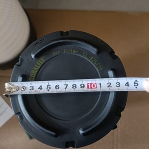 Cartucho de Filtro de Aire de Repuesto, Elemento de Filtro de Aire X770691 P785390 AF25121 4700394690 3222188144, Filtros de Aire - Product Image 5