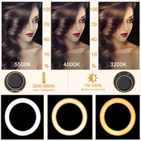 Grosir lampu ring led fotografi 18 inci 12 14 18 21 inci, lampu ring led fotografi tiktok, lampu pengisian video hidup, lampu fotografi kustom