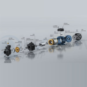 DAYUAN ad alta pressione 0.16hp 0.125kw 1 pollice 220V 50HZ pompa dell'acqua elettrica periferica a bassa pressione pompa dell'acqua pulita di superficie - Product Image 4