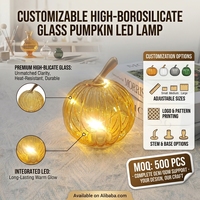 Mini citrouille en verre avec lumière LED, fournisseur de marque privée ODM, guirlande lumineuse féerique, décoration d'intérieur, cadeau, automne, Thanksgiving, borosilicate, vente en gros