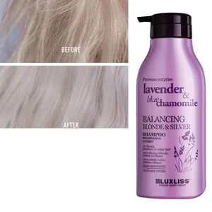 Luxliss Hoge Kwaliteit Groothandel Fabriek Levering Infuse Kleur Glans Blonde Sliver Haar Kleur Beschermen Paars Shampoo