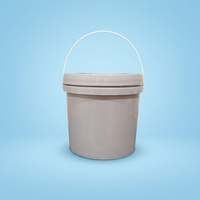 Seau hermétique durable en HDPE de qualité alimentaire de 0,6 L avec impression personnalisée pour le stockage de produits chimiques, d'huiles et de lubrifiants