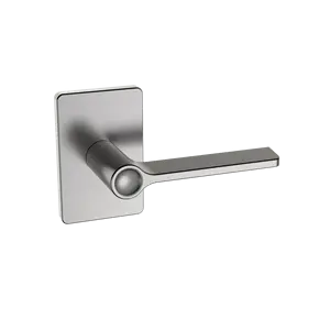Passage Privacy Bathroom Lever Lock Cylinders Wood Door Zinc Alloy Lever Door Handle Luxury For Interior Doors