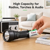Batterie rechargeable USB type D 1,5 V 6000 mAh Li-ion Type-C 1200 cycles pour lampe torche, radio, jouet