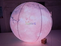 Modèle de Lune Gonflable Géant Publicitaire avec LED pour Musées, Centres Commerciaux, Festivals et Événements