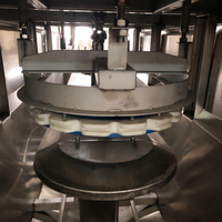 Machine automatique d'échaudage de volailles en acier inoxydable à température constante pour poulets, canards et oies, pour ligne d'abattage