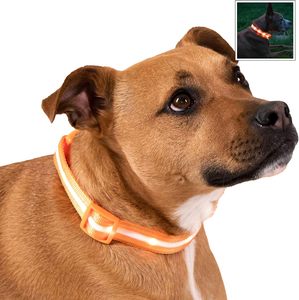 Pet LED Lights <b>Dog</b> Collar Polyester/Nylon Adjustable Fashion Eco-Friendly Night Safety Flashing Glow Dark <b>Dog</b> <b>Leash</b> <b>Dogs</b> Hair - Product Image 1