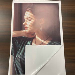 하이 퀄리티 자체 접착 인쇄 PVC 비닐 롤 이동식 자동차 스티커 - Product Image 4