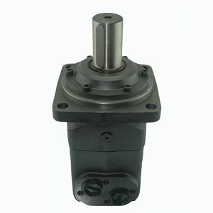 Motores Hidráulicos de Serie, Motores Hidráulicos de Velocidad Variable OMT - Product Image 2