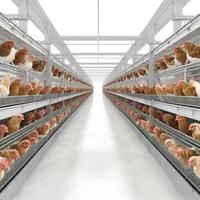 Cage à poulets empilable de type H, entièrement automatique, galvanisée à chaud, équipement d'élevage avicole, collecte des œufs