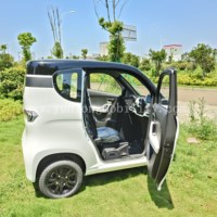Tricycles électriques fermés Certification CEE Scooter cabine 3 roues 2 places Voiture électrique d'occasion Europe sans permis de conduire