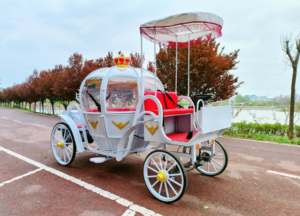 Magnifique calèche à chevaux pour mariages, calèche royale opulente pour occasions royales - Product Image 1