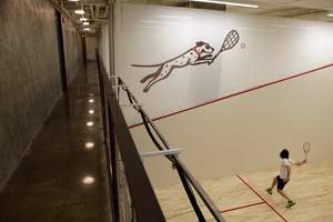 <span class=keywords><strong>Terrain</strong></span> ou <span class=keywords><strong>terrain</strong></span> <span class=keywords><strong>de</strong></span> <span class=keywords><strong>squash</strong></span> fabriqué directement en usine avec plancher en bois <span class=keywords><strong>de</strong></span> verres trempés <span class=keywords><strong>de</strong></span> 12mm et joints en acier inoxydable - Product Image 5