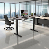 Design moderno scrivania in piedi mobili da ufficio nuovo arrivo a doppio motore struttura di sollevamento da lavoro tavolo Computer pieghevole per ufficio