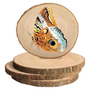 Materiali Decorativi Fai-da-te di Grande Successo Dischetti Rotondi in Legno per Lavori Artigianali Scatole e Insegne Murali - Product Image 3