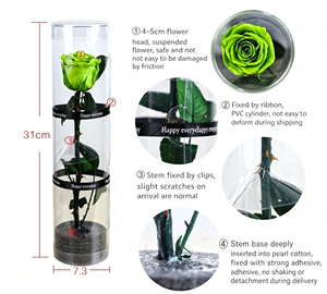 Caja de Regalo Decorativa con Flores Reales al por Mayor, Adorno para el Día de San Valentín o el Día de la Madre, Cilindro de PVC de 4-5 cm con Tallo de Rosa Preservada Individual - Product Image 6