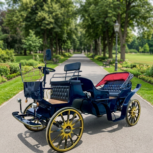 Véhicule de transport électrique convertible à toit ouvert / Voiturette touristique électrique de luxe à vendre / Voiturette de tourisme pour parc - Product Image 1