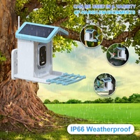 Lecture vidéo en direct HD 1080P à énergie solaire sur téléphone AI Identifier + 10,000 espèces d'oiseaux 2.4G WiFi Mangeoire à oiseaux intelligente pour l'extérieur