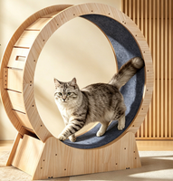 Direktverkauf ab Werk Luxuriöses Umweltfreundliches Katzen-Laufrad Intelligentes Geräuscharmes Katzen-Laufband