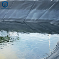 Géomembrane en PEHD pour pisciculture, grands bassins en plastique pour poissons et réservoirs d'aquaculture