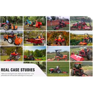 Sembradora de Patatas de 1 Hilera con Enganche de 3 Puntos para Tractor de 20-50 CV con Certificación CE - Product Image 6