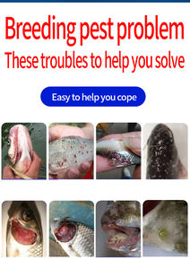 مضافات غذائية بسعر المصنع لنمو سريع وتسمين سمك السلطعون الروبيان والأسماك تغذية نمو البلطي الأمثل - Product Image 5