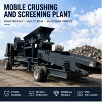 Kleine Backenbrecher-Maschine Mobiler Steinbrecher mit Vibrationsförderer und Vibrationssieb für Kies und Gesteinsaggregat