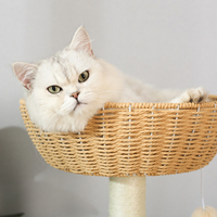 Arbre à chat moderne de luxe, écologique et durable, en carton, bois et sisal, avec griffoir et condo pour chats