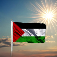 Drapeau national palestinien personnalisé pour l'extérieur, 3x5 pieds (90x150cm), en polyester, avec 2 œillets en laiton