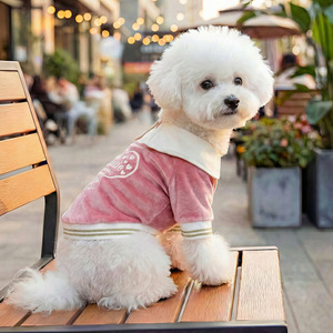 Camiseta Polo de Terciopelo con Estampado de Corazón para Perros Pequeños y Cachorros de PETCIRCLE, Cómoda para Primavera y Otoño - Product Image 4