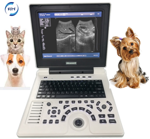 Pemindai Ultrasound hitam dan putih Laptop soket ganda LCD 12.1 "Portabel medis harga murah dengan <span class=keywords><strong>Probe</strong></span> Array cembung - Product Image 2