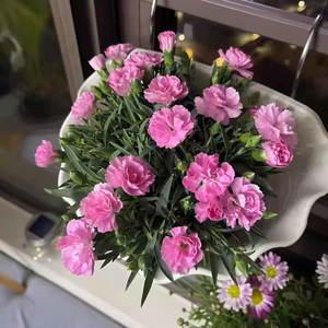 Ornamento de Jardín con Flores de Clavel, Planta en Maceta para Interiores y Exteriores, Decoración Verde para Balcón y Patio - Product Image 4