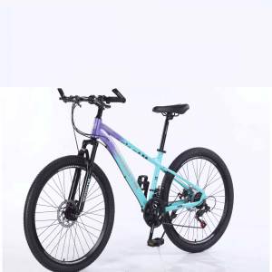 Joli modèle 26 <span class=keywords><strong>pouces</strong></span> <span class=keywords><strong>VTT</strong></span> 21S alliage <span class=keywords><strong>VTT</strong></span> pouce Kenda OEM usine fabrication en gros personnaliser vélo en alliage - Product Image 5