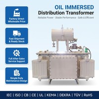 Transformateur de distribution d'huile hermétiquement scellé à 60 Hz avec noyau en acier au silicium de haute qualité et enroulement en cuivre