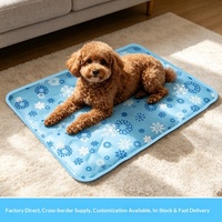 Tapis rafraîchissant pour animaux de compagnie en gel plastique, lit pour chat et chien, épais, lavable, respirant, imperméable, résistant aux morsures et aux griffures, idéal pour l'été