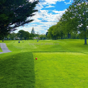 Césped Artificial para Golf, <span class=keywords><strong>Padel</strong></span>, Jardín, Césped Sintético Comercial - Product Image 2