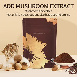 High Quality Vegan <strong>Mushroom</strong> Coffee Supplement Low Acid Rich Chocolate Flavor For Energy Boost Bag Packaging