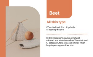 ERIGERON All-in-One Vegan Beauty Ball para piel grasa Venta caliente Nuevo producto hecho en Corea al por mayor - Product Image 4