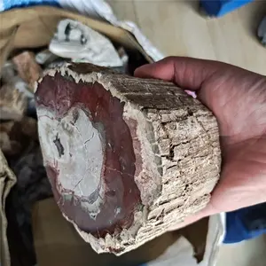 Оптовая продажа, натуральный полированный цилиндрический камень, ископаемое необработанное дерево