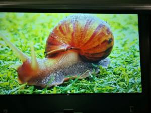 Pantalla de Proyección UST ALR/CLR de 100 Pulgadas Wupro/OEM con Ganancia Mejorada para el Hogar, Pantallas de Proyección 4K UHD BSP, Gallery-BSP-100" Pantalla ALR UST - Product Image 5