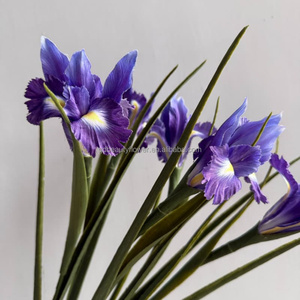Plantes artificielles haut de gamme C196, tige de <span class=keywords><strong>fleur</strong></span> <span class=keywords><strong>d</strong></span>'<span class=keywords><strong>iris</strong></span> réaliste, tige unique, bouquet floral violet, <span class=keywords><strong>d</strong></span>écoration pour la maison, mariage, allée, arche - Product Image 1