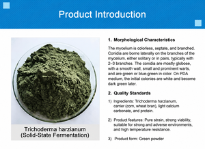 Poudre de Metarhizium Anisopliae, un biopesticide et insecticide biologique, catégorie fongicides - Product Image 5