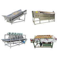 Machine à laver les fruits et légumes à grande capacité, à moteur, entièrement automatique, à écran vibrant pour pomelo, à économie d'énergie, vente chaude