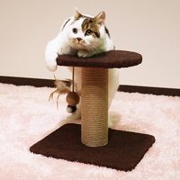 Mobilier 2 en 1 pour animaux de compagnie, lit et griffoir pour chat couché, qualité supérieure du Vietnam
