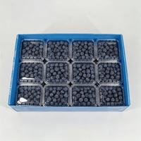 Groothandel voedselveilige fruit- en groentebak, herbruikbare gegolfde kunststof bak voor bessen, vis, verse producten export