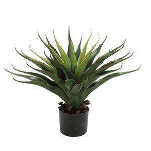 Bonsái de planta de Agave de plástico Tropical Real Touch para el hogar, oficina, porche, escritorio, oficina, decoración decorativa interior <span class=keywords><strong>en</strong></span> venta - Product Image 1