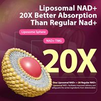 Capsules liposomales BIOCHEALTH NAD Resvératrol – Antioxydant et stimulant énergétique pour adultes et femmes, améliore les niveaux de NAD+