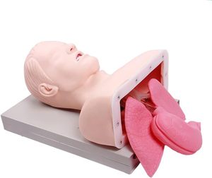 L'intubazione tracheale elettronica adulta avanzata con il modello di funzionamento infermieristico dell'allarme dell'<span class=keywords><strong>università</strong></span> medica - Product Image 3